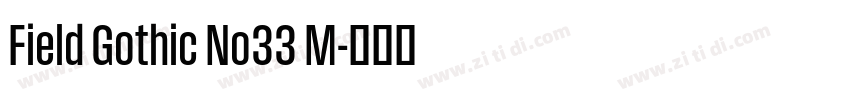 Field Gothic No33 M字体转换